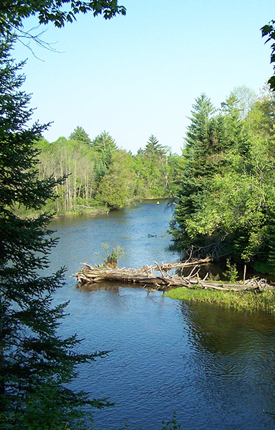 AuSable River Trout Fishing, Au Sable Steelhead Reports