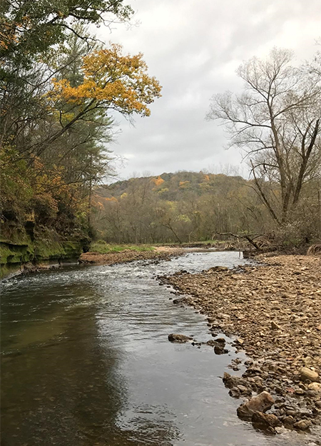 Trout Fishing in Northeast Iowa: An Angler's Guide to the Streams and Rivers of Iowa's Driftless Area [Book]